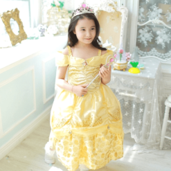 Disney Golden beauty dress