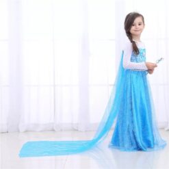 Elsa costume Jhunjhuni 3